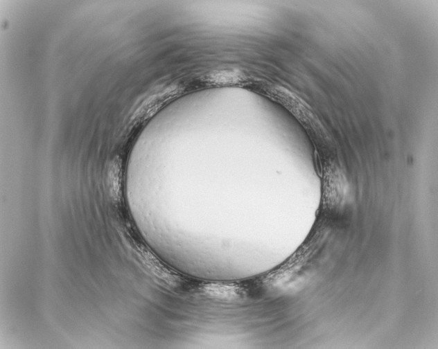 X0000086990762200705141741