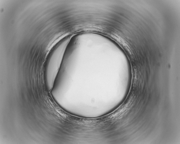 X0000086990782200705141740