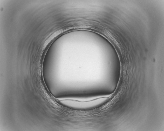 X0000086990789200705141740