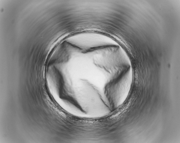 X0000086990790200705141740