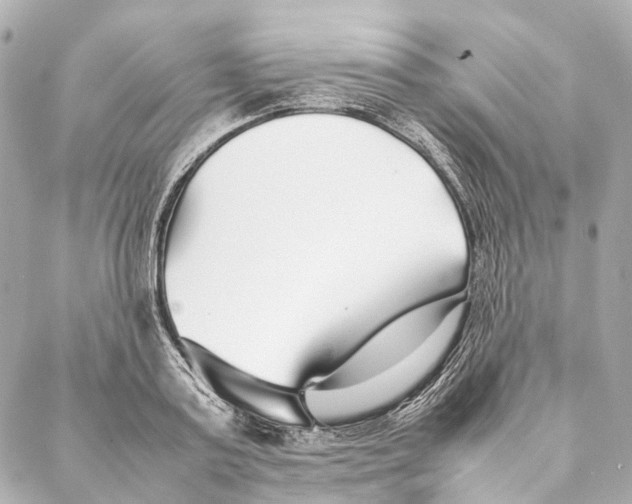 X0000086990795200705141739