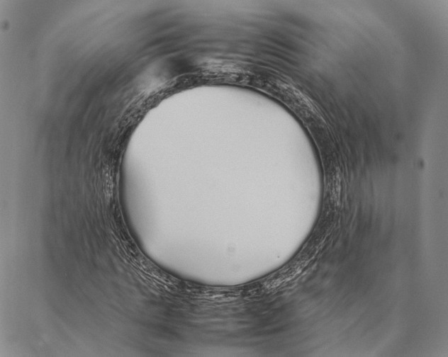 X0000086990821200705141738