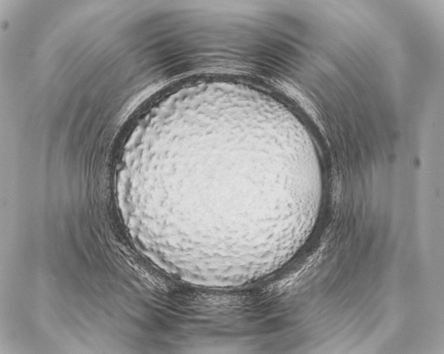 X0000086990829200705141739