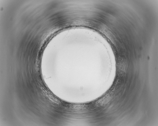 X0000086990832200705141739