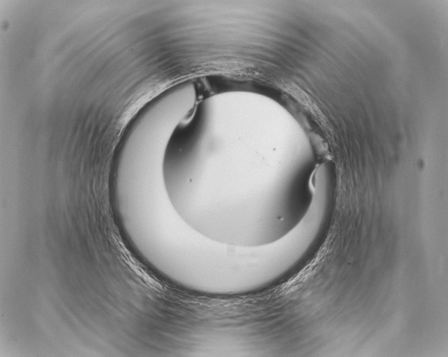 X0000086990834200705141739