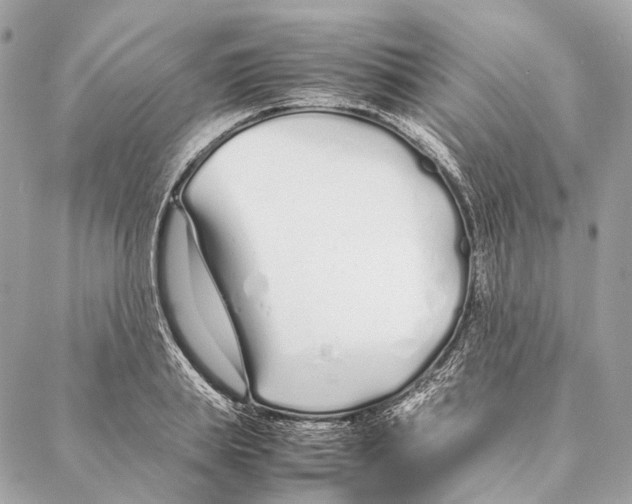 X0000086990839200705141739