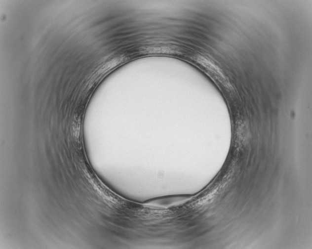 X0000086990841200705141739