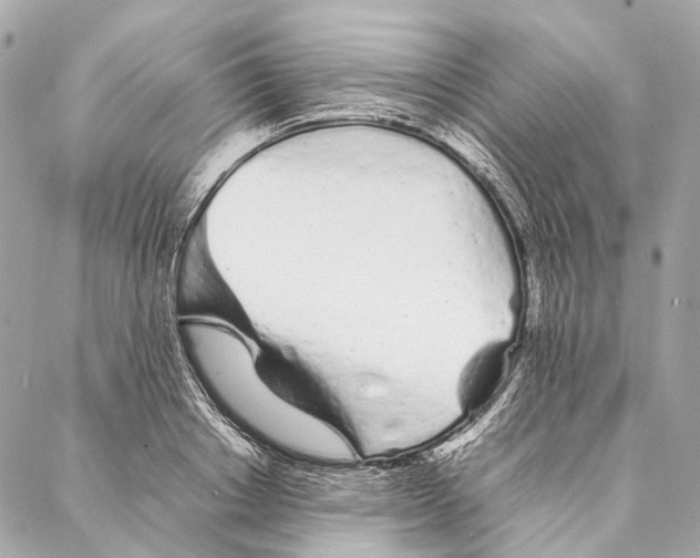 X0000086990842200705141739