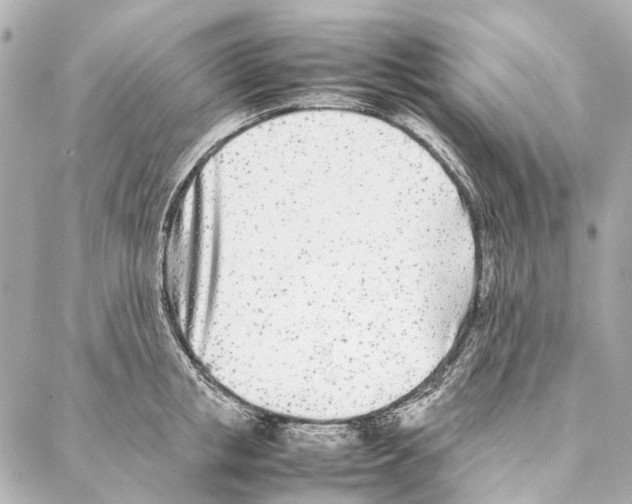 X0000086990853200705141739