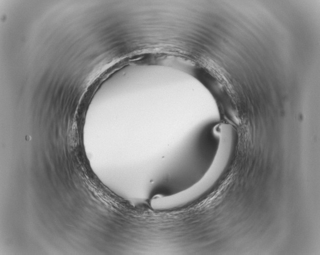 X0000086990876200705141738