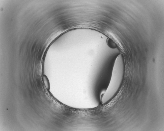 X0000086990900200705141738