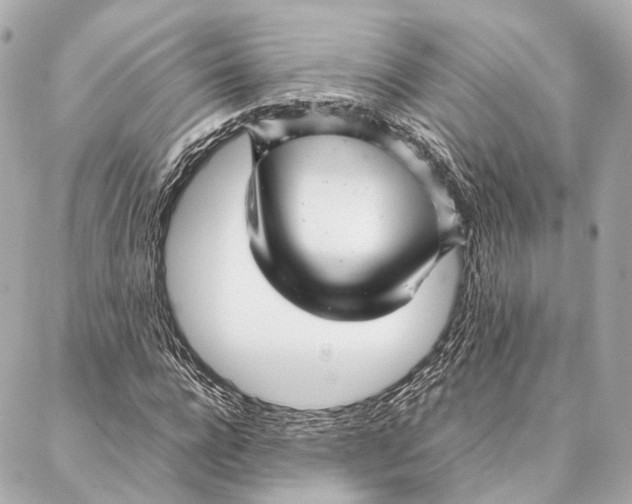 X0000086990920200705141737