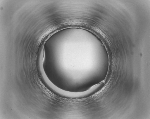 X0000086990922200705141737