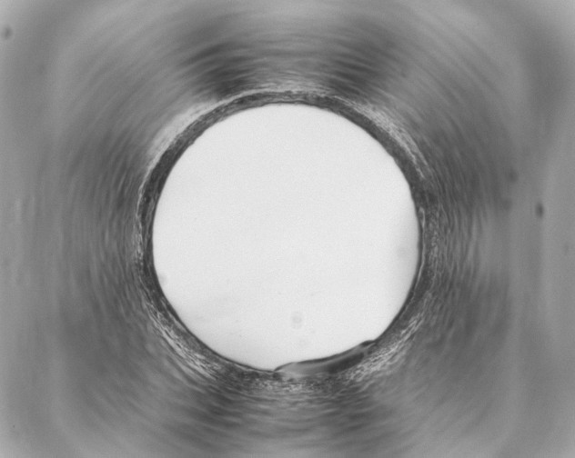 X0000086990927200705141737