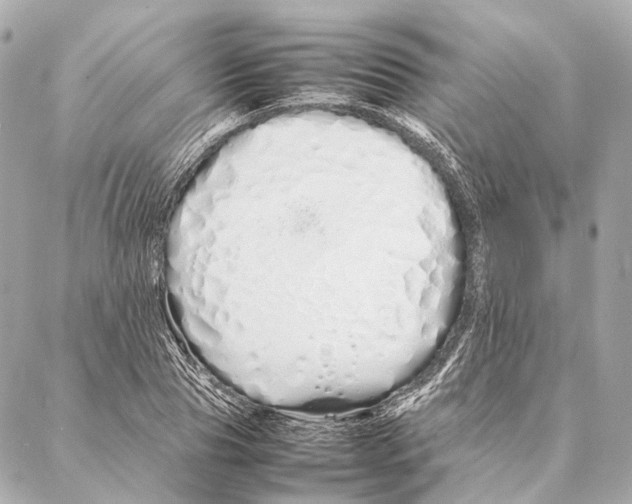 X0000086990929200705141737