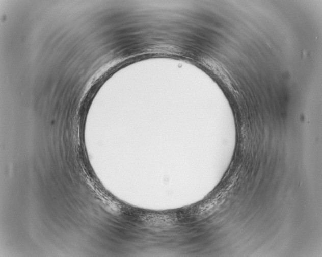 X0000086990931200705141737