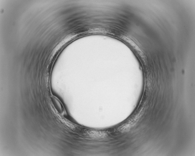 X0000086990933200705141737