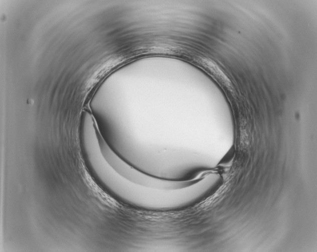 X0000086990938200705141737