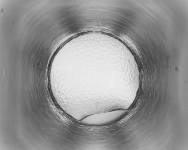 X0000086990940200705141737