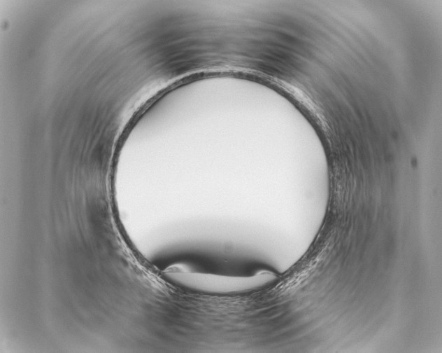 X0000086990943200705141737