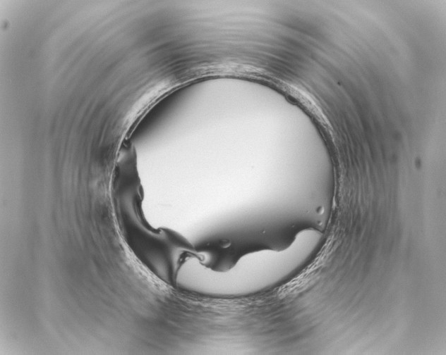 X0000086990946200705141737
