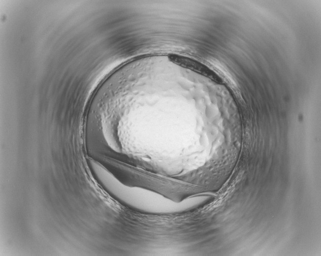 X0000086990948200705141737
