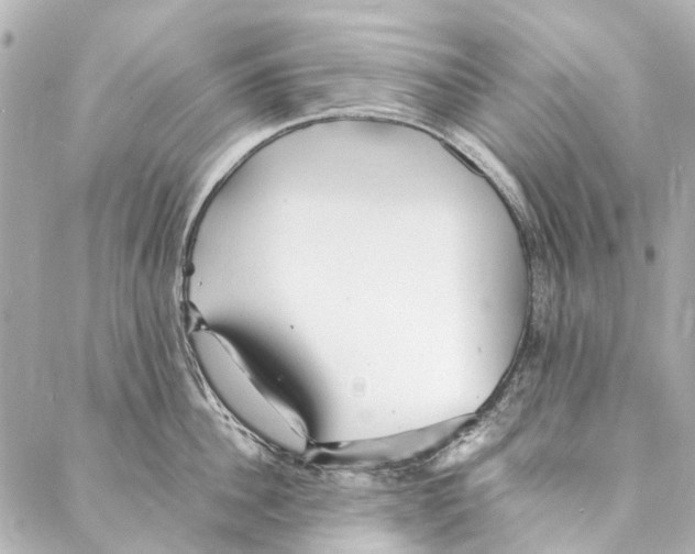 X0000086990956200705141737