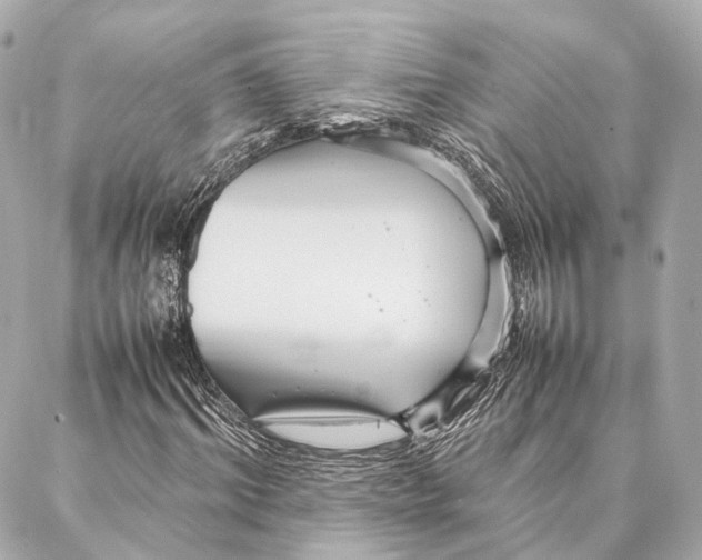 X0000086990964200705141737