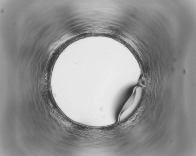 X0000086990971200705141737