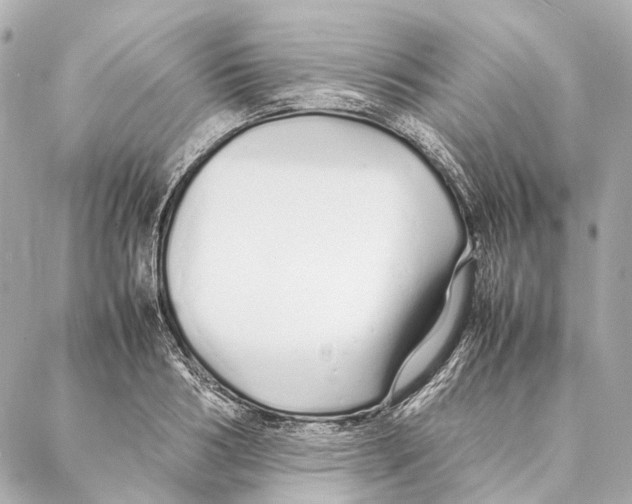 X0000086990986200705141736