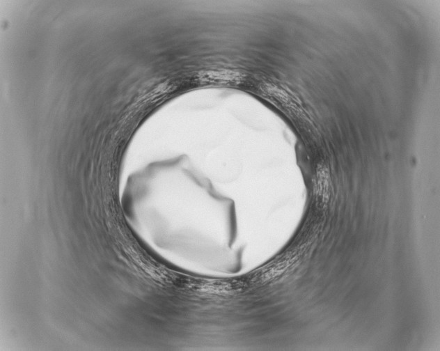 X0000086991009200705141735