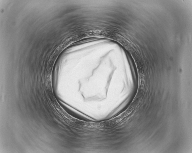 X0000086991011200705141735
