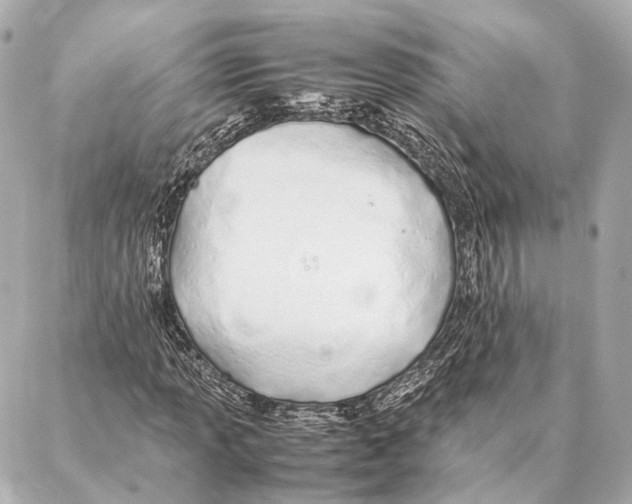 X0000086991013200705141735