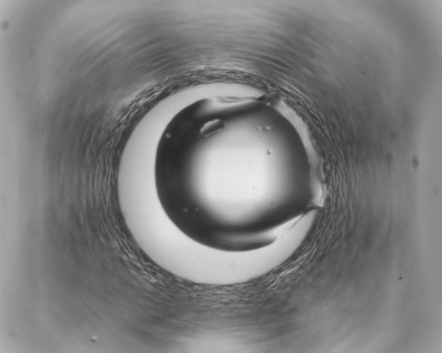 X0000086991014200705141735