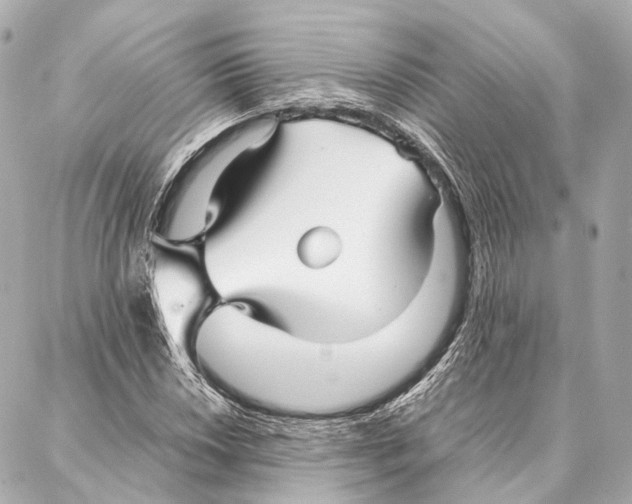 X0000086991018200705141735