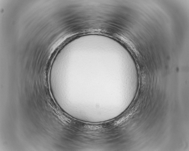 X0000086991023200705141735