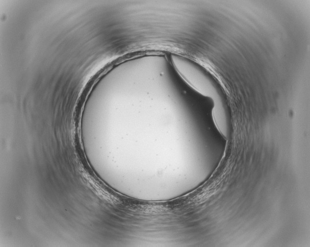 X0000086991024200705141735