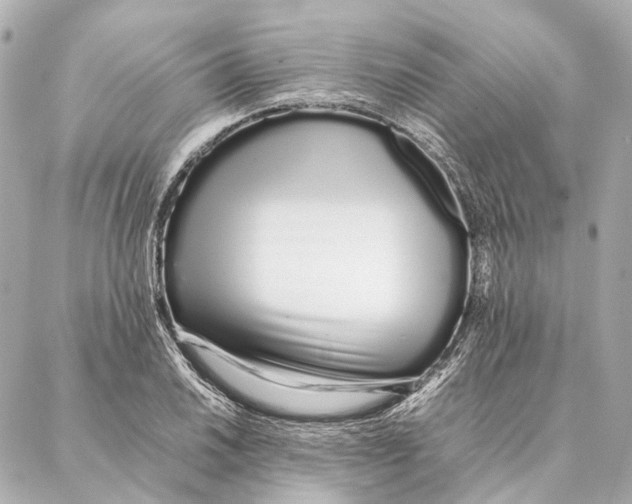 X0000086991030200705141736