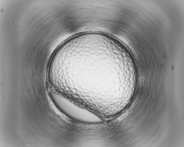 X0000086991038200705141736