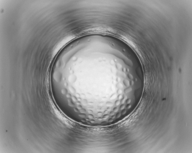 X0000086991042200705141736