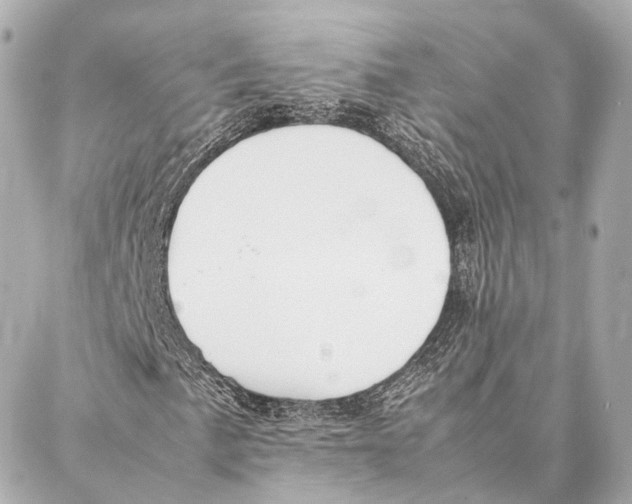X0000086991057200705141735