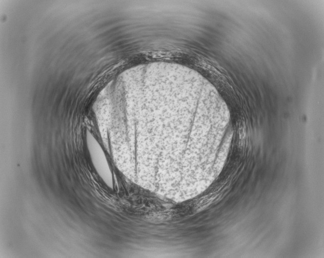 X0000086991060200705141735
