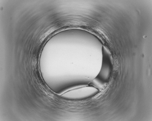 X0000086991065200705141735