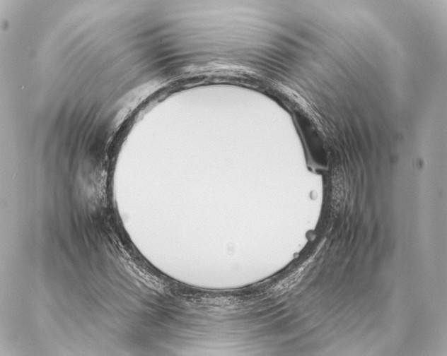 X0000086991066200705141735