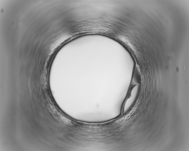 X0000086991071200705141735