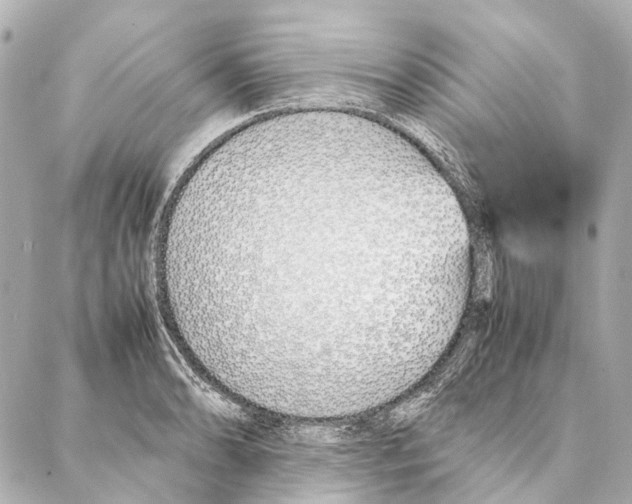 X0000086991086200705141735