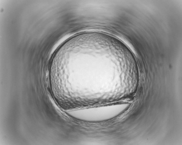 X0000086991101200705141734