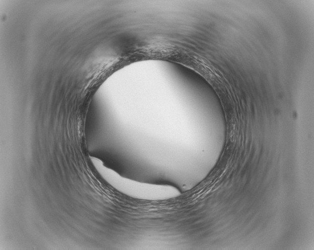 X0000086991108200705141734