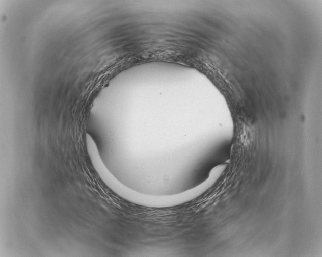 X0000086991109200705141734