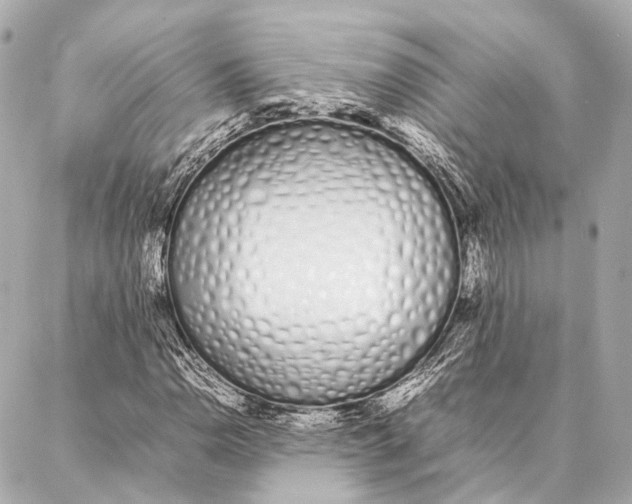 X0000086991110200705141734